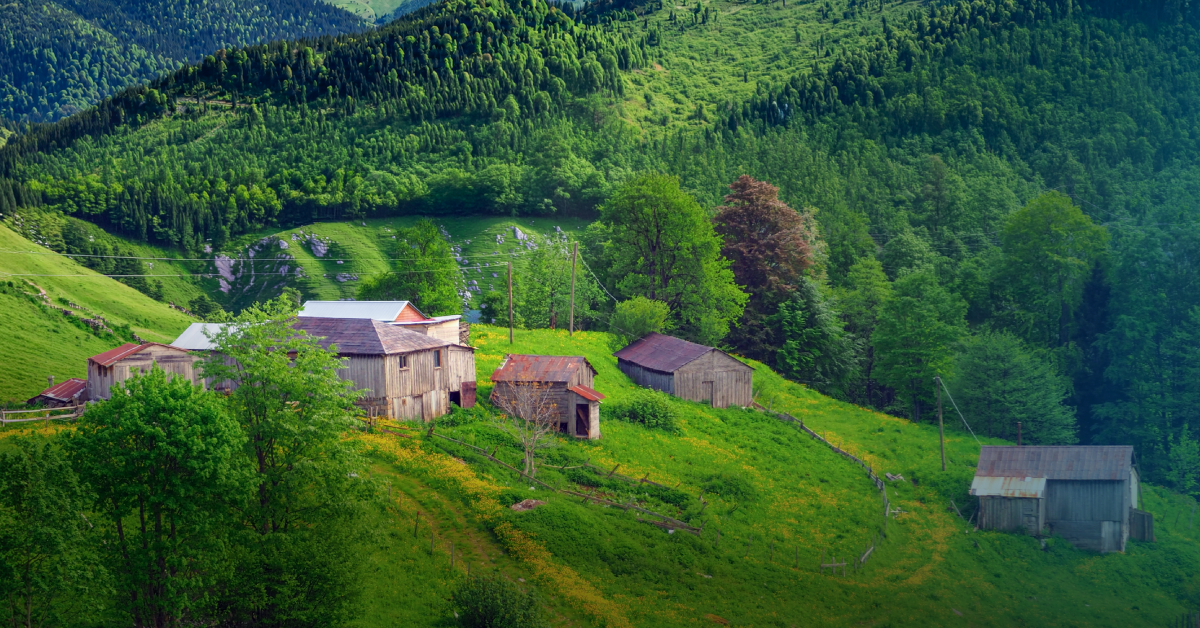 Flights to Trabzon for Saudi National Day