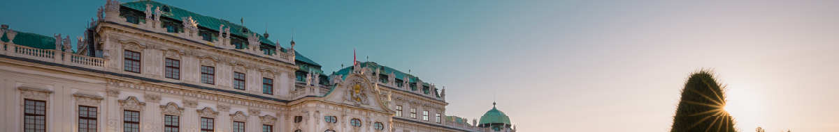 Vienna Banner