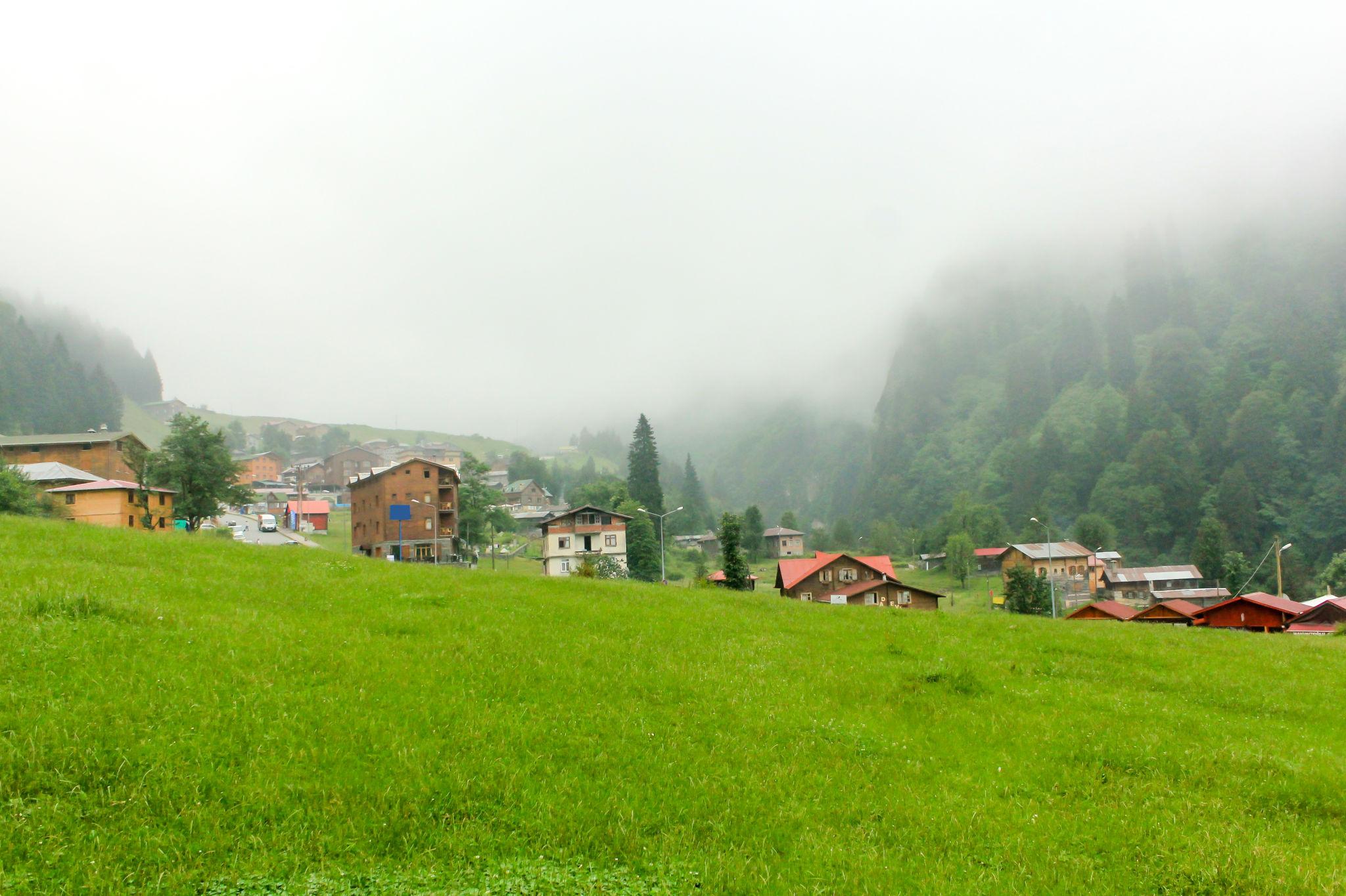 Rize tea plantations, Turkey