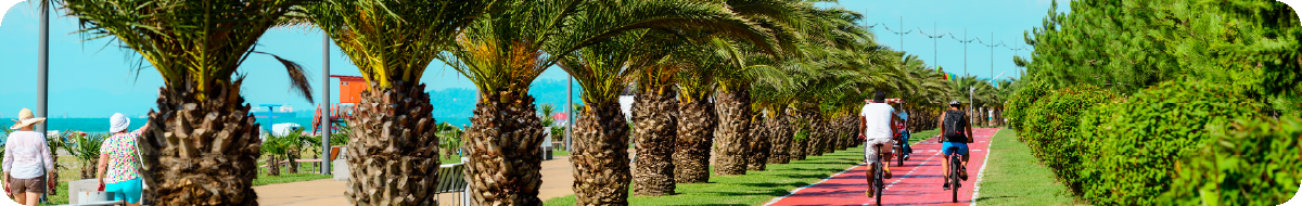 Batumi Activities