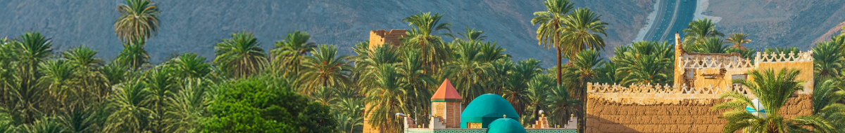 najran Banner